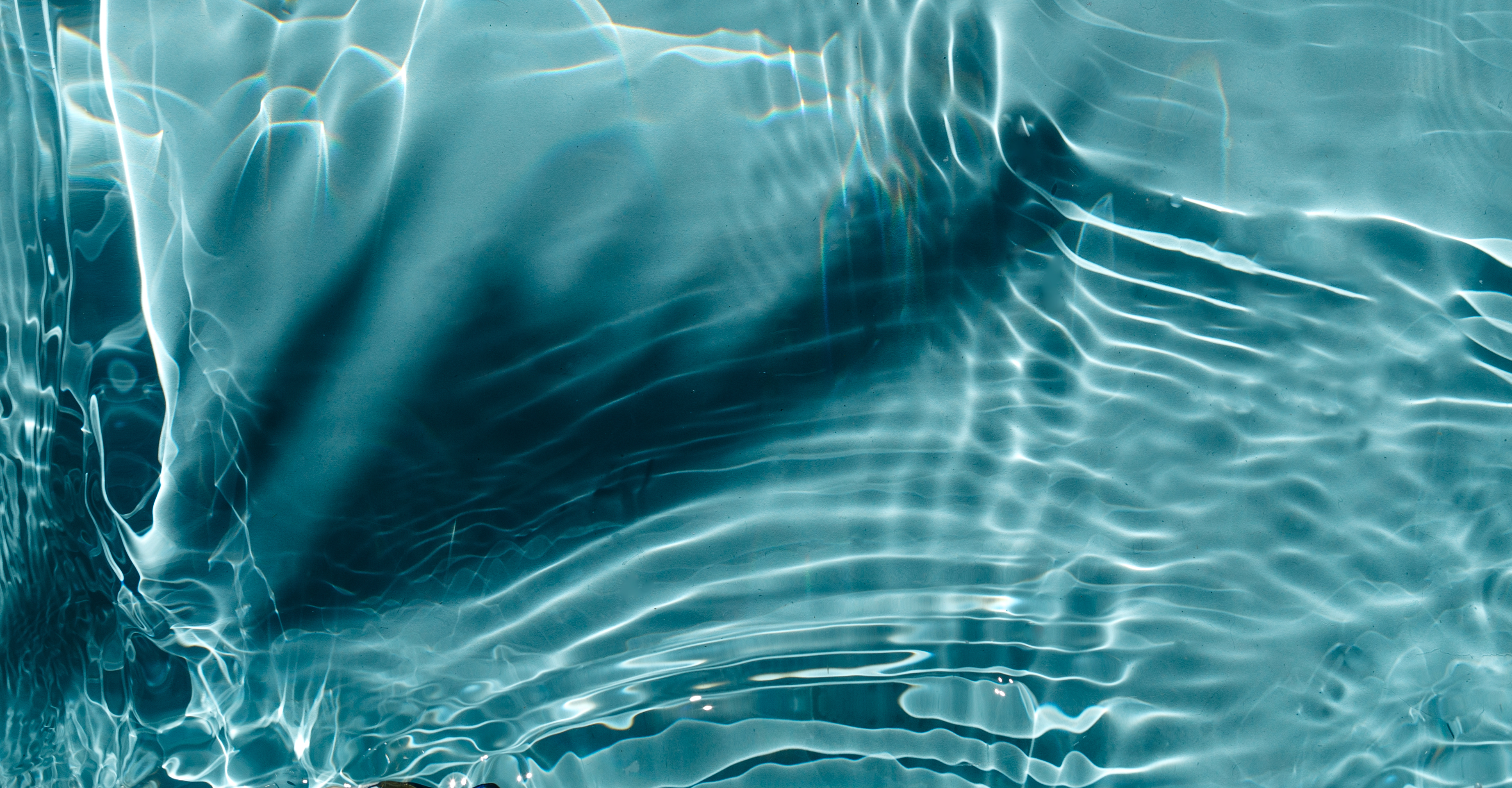 Turgencia y elasticidad